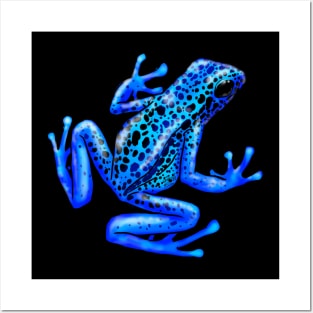 Blue Poison Dart Frog, Okopipi, Dendrobates Tinctorius Azureus Posters and Art